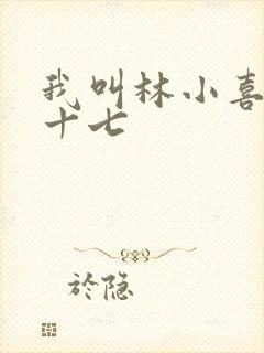 我叫林小喜今年十七封面