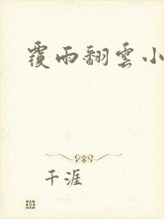 覆雨翻云小说