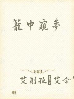 笼中窥梦