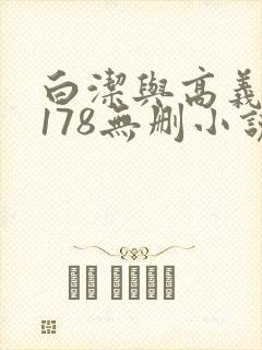 白洁与高义1～178无删小说封面
