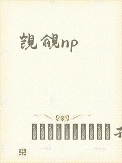 觊觎np封面