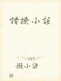 错撩小说