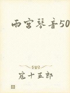 雨宫琴音500