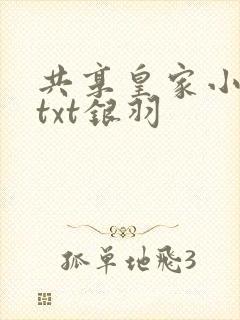 共享皇家小公主txt银羽