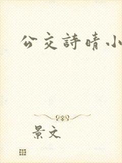 公交诗晴小说