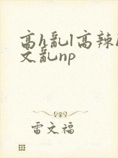 高h乱l高辣h文乱np