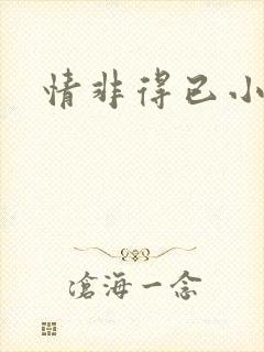 情非得已小说