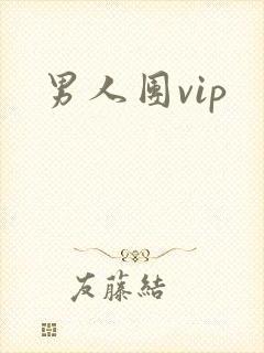 男人团vip封面