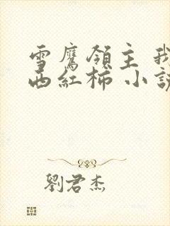雪鹰领主 我吃西红柿 小说