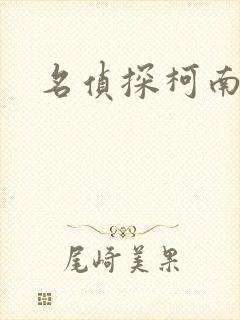 名侦探柯南h
