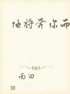 他将奔你而来封面