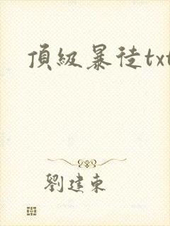 顶级暴徒txt