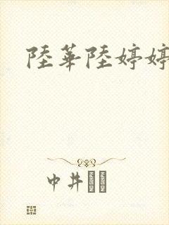 陆华陆婷婷封面