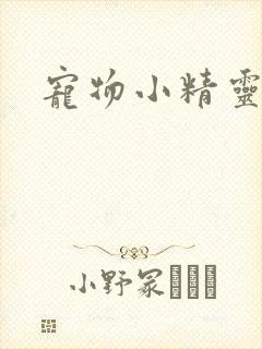 宠物小精灵漫画