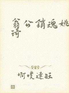 翁公销魂姚瑶琦琦封面