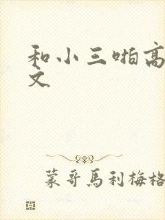 和小三啪高辣h文