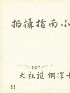 拍摄指南小说