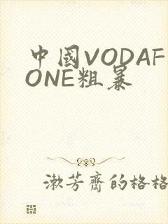 中国VODAFONE粗暴封面