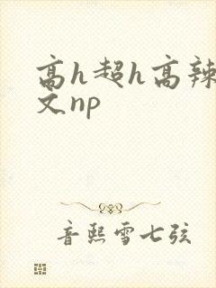 高h超h高辣h文np封面