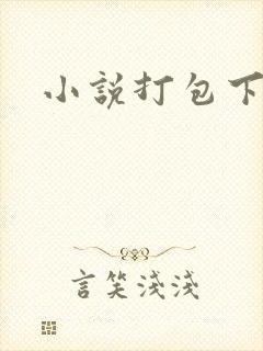 小说打包下载