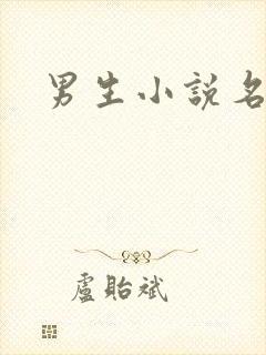 男生小说名字