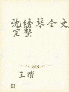 沈绣琴全文阅读完整封面
