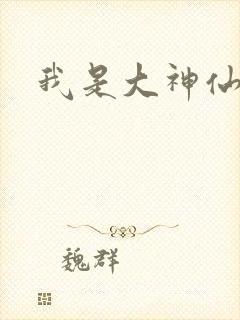 我是大神仙小说封面