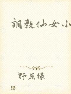 调教仙女小说封面