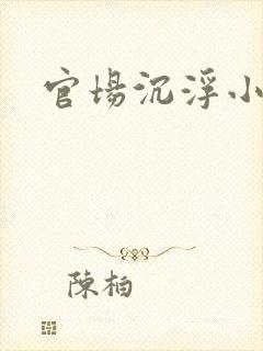 官场沉浮小说