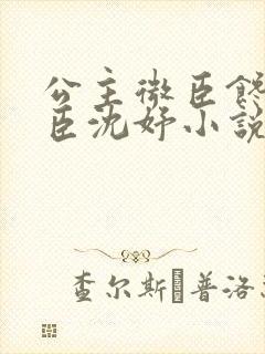 公主微臣馋了微臣沈妤小说