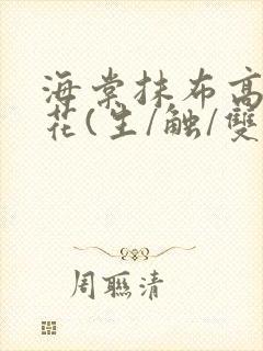 海棠抹布高岭之花(生/触/双)