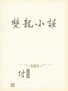 双龙小说