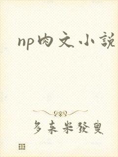 np肉文小说