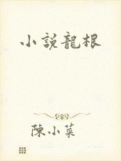 小说龙根封面