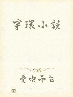 穿环小说
