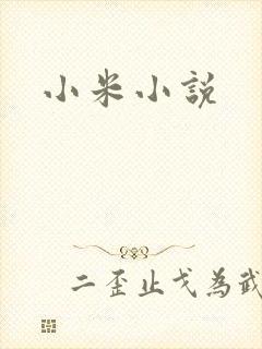 小米小说