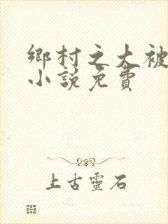 乡村之大被同眠小说免费