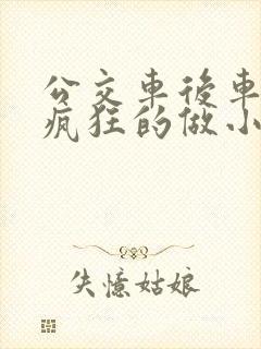 公交车后车座的疯狂的做小封面