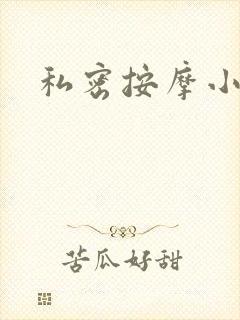 私密按摩小说