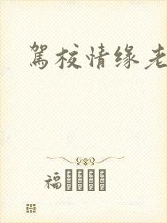 驾校情缘老赵