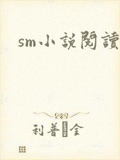 sm小说阅读封面