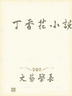 丁香花小说