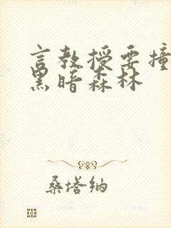 言教授要撞坏了黑暗森林