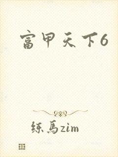 富甲天下6