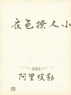 夜色撩人小说