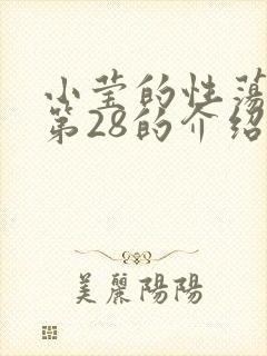 小莹的性荡生活第28的介绍