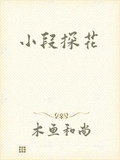 小段探花