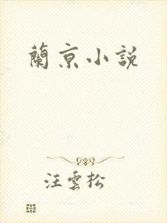 兰京小说封面
