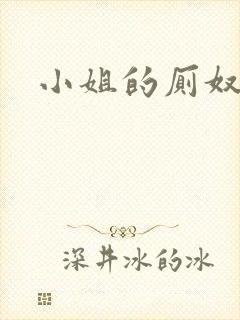 小姐的厕奴