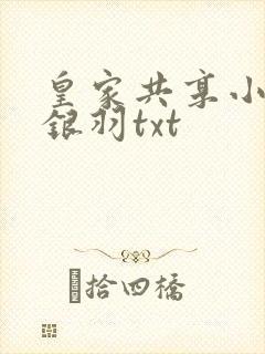 皇家共享小公主银羽txt